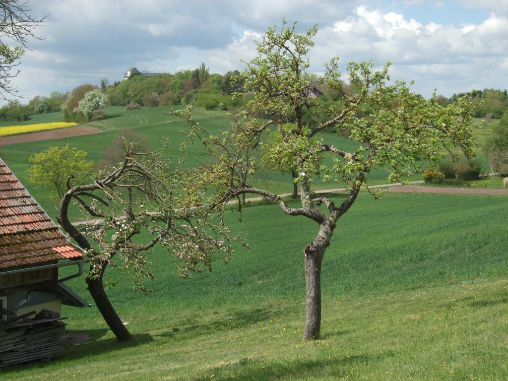 Ferienwohnung Bockelt Stadtlauringen 외부 사진